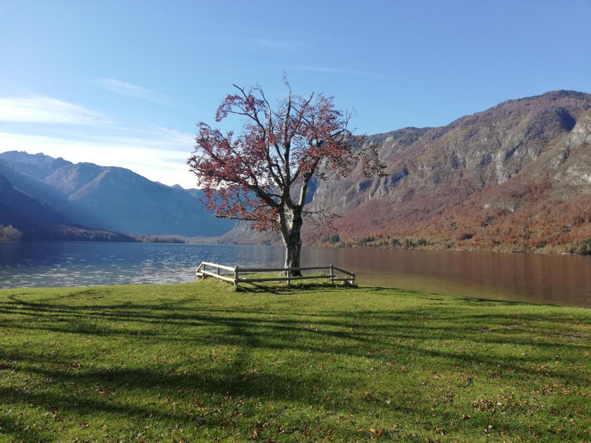 Apartment Ana Bohinj ภายนอก รูปภาพ