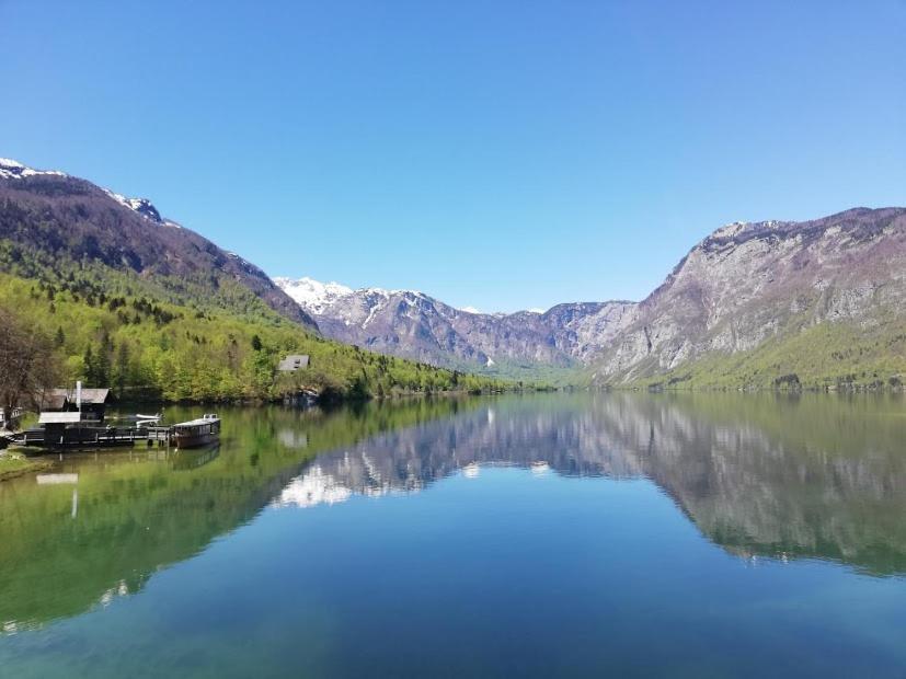 Apartment Ana Bohinj ภายนอก รูปภาพ