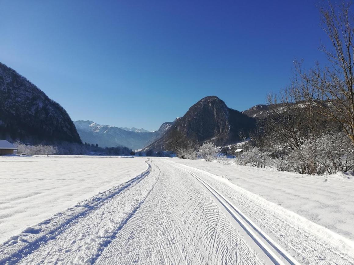 Apartment Ana Bohinj ภายนอก รูปภาพ