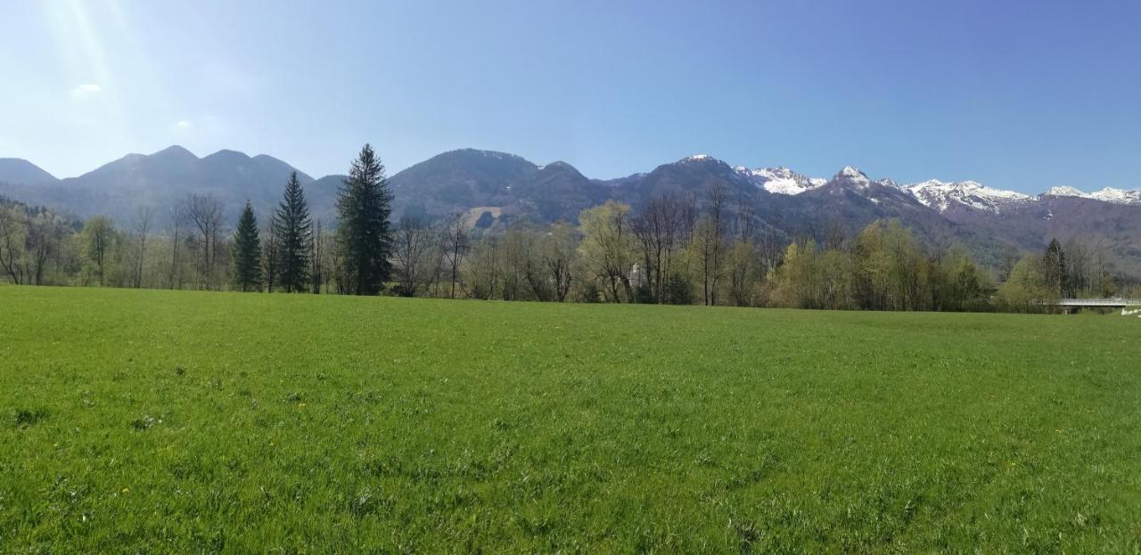 Apartment Ana Bohinj ภายนอก รูปภาพ