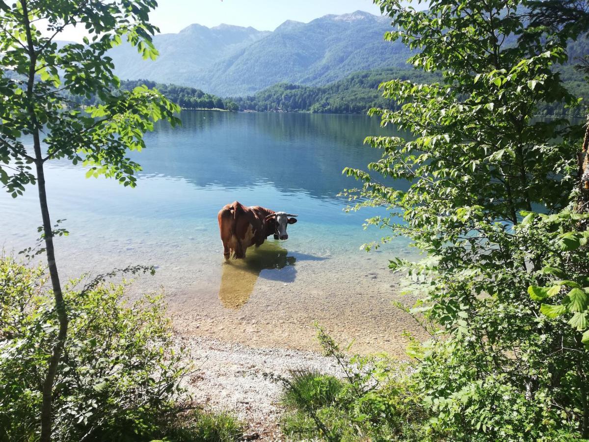 Apartment Ana Bohinj ภายนอก รูปภาพ