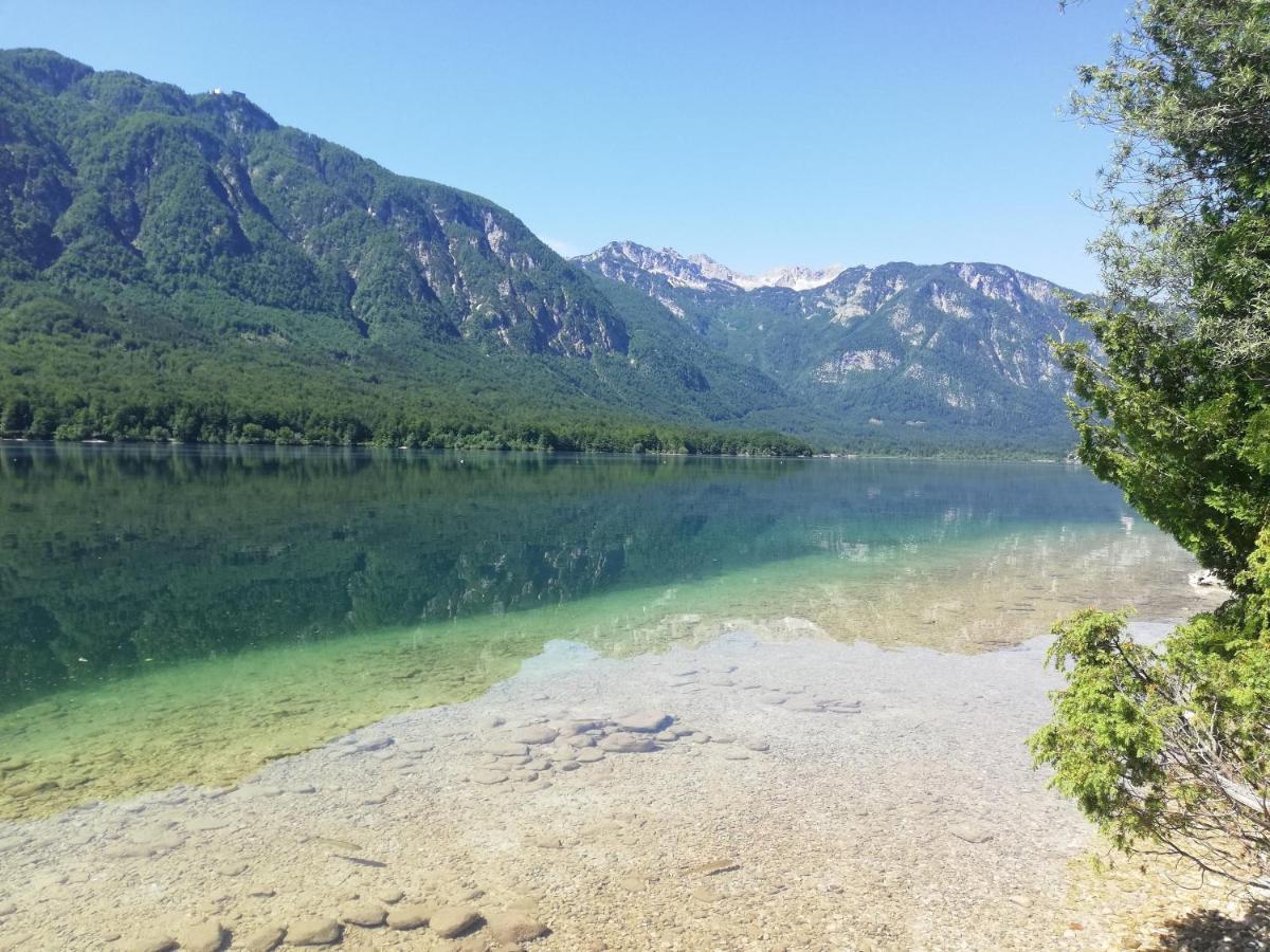 Apartment Ana Bohinj ภายนอก รูปภาพ