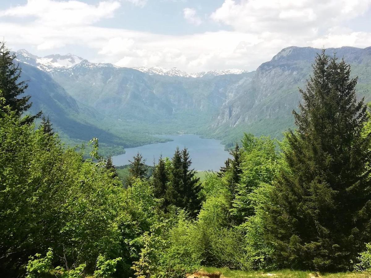 Apartment Ana Bohinj ภายนอก รูปภาพ