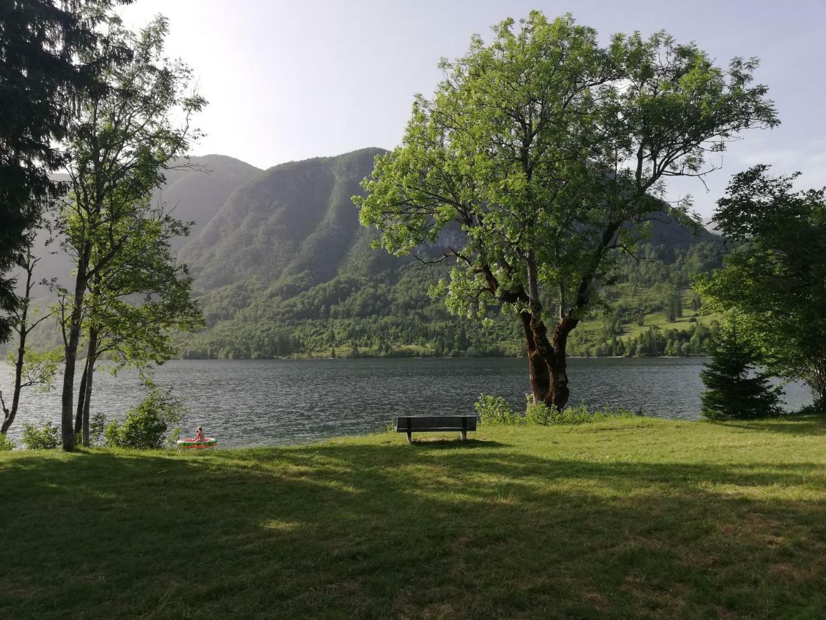Apartment Ana Bohinj ภายนอก รูปภาพ
