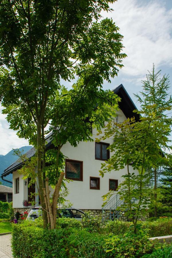 Apartment Ana Bohinj ภายนอก รูปภาพ