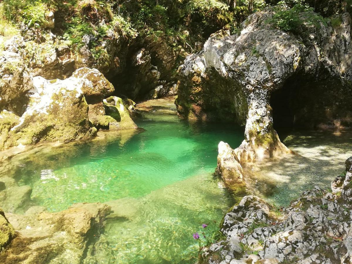Apartment Ana Bohinj ภายนอก รูปภาพ